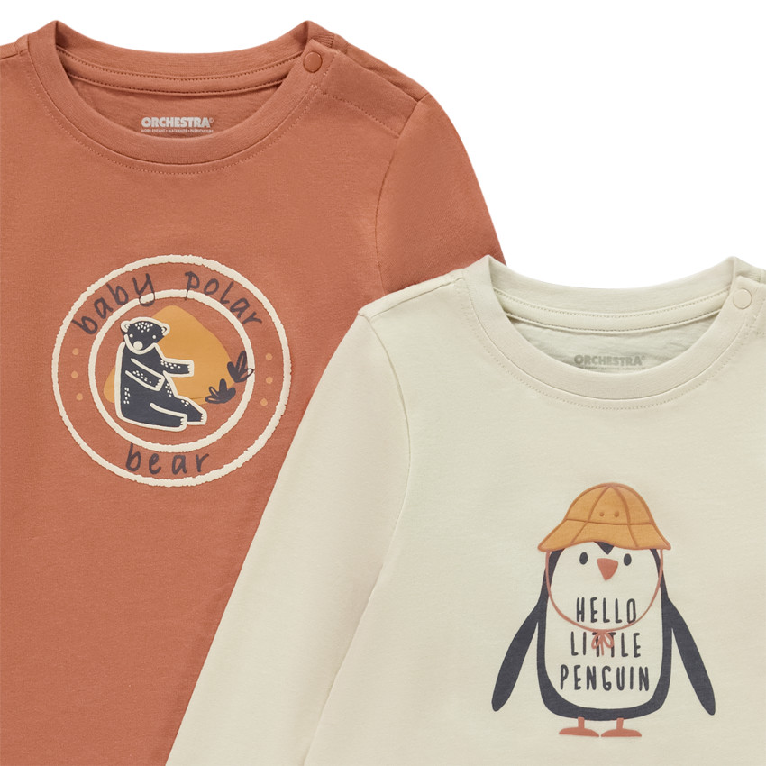 Set van 4 t-shirts met lange mouwen voor baby jongen 