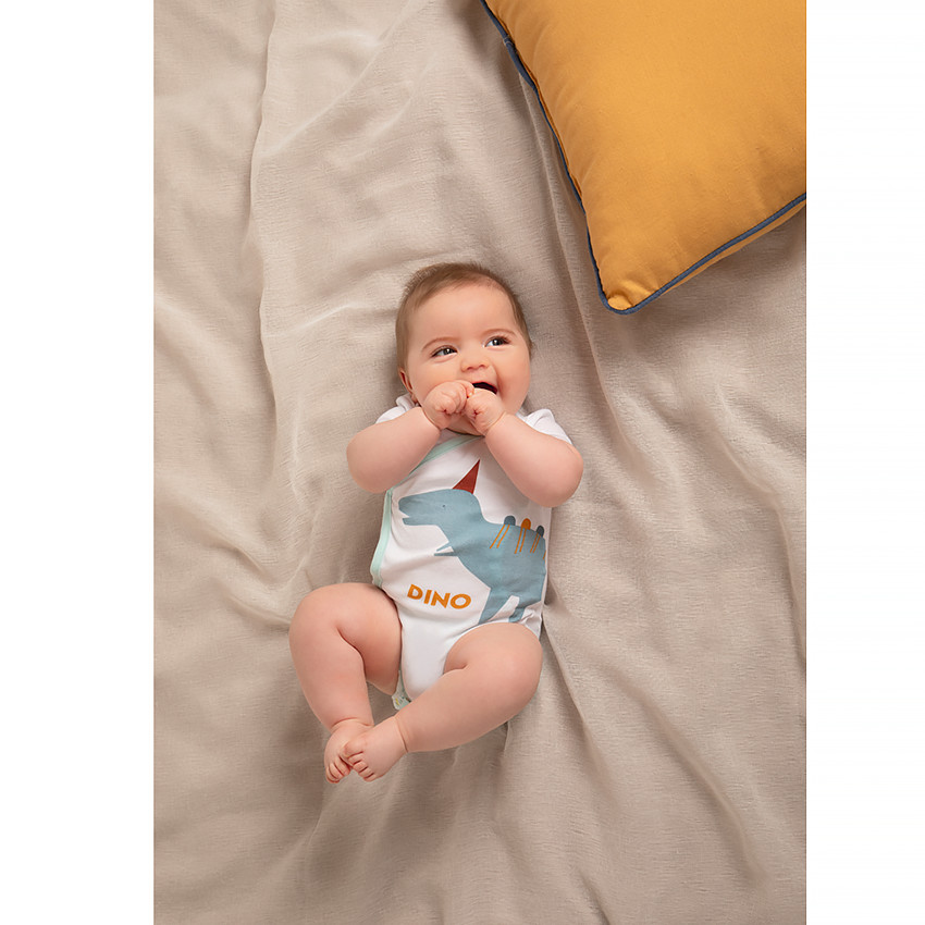 Lot de 7 bodies manches courtes imprimés dinosaures en coton pour bébé garçon 