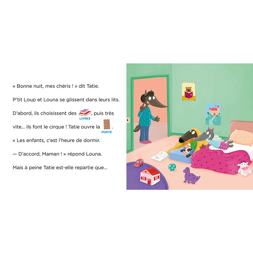 Boek FR P'tit Loup ne dors pas à la maison 3jaar+ 