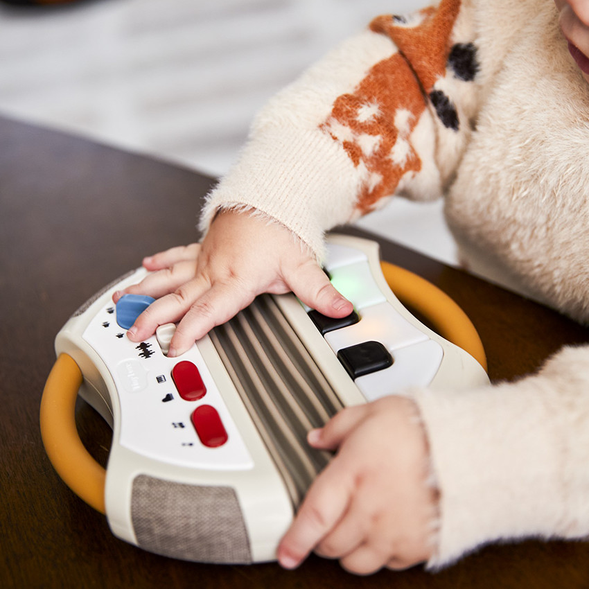 Accordéon électronique Rock 