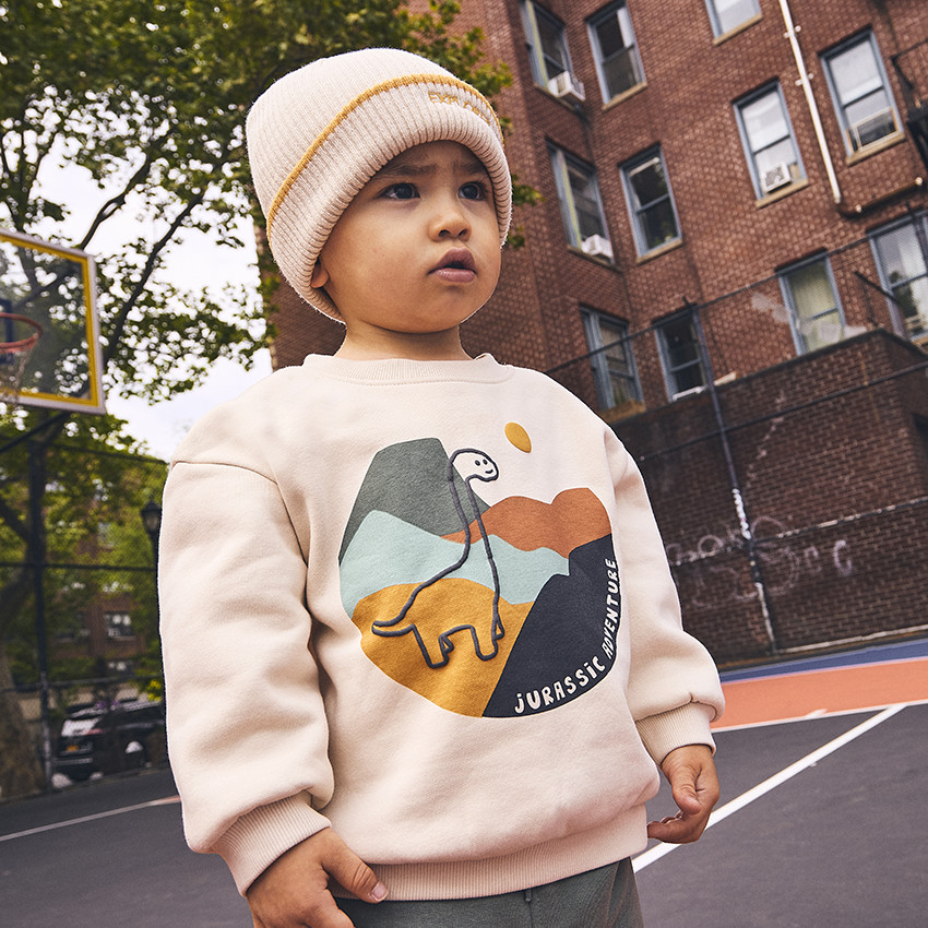 Sweat oversize puff print dinosaure pour bébé garçon 