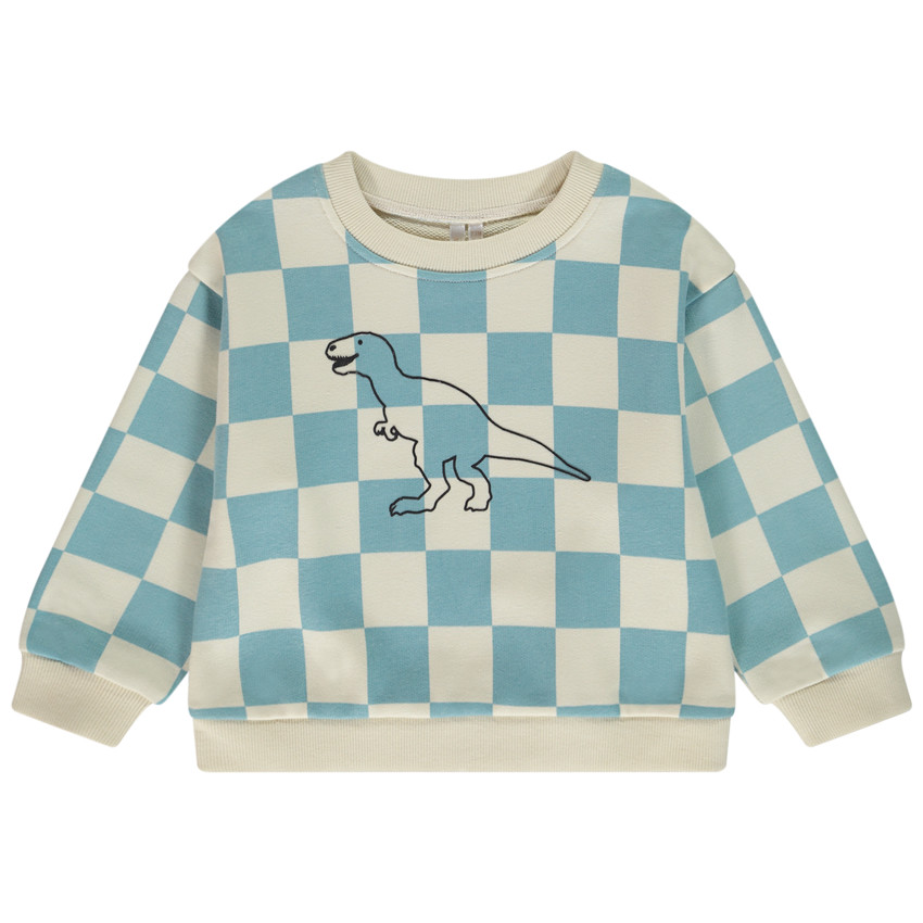 Oversize Sweatshirt met ruitpatroon en dinosaurusprint voor babyjongen 