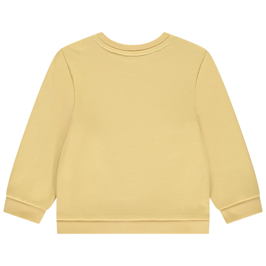 Sweat molleton print dino pour bébé garçon 