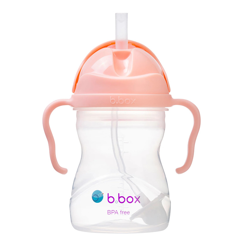Gobelet Sippy avec paille innovante 240ml Tutti Frutti 6m+ 