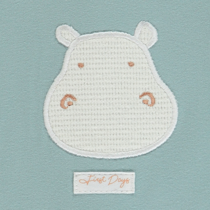 Twee-delige set met hippo-motief voor babyjongen 