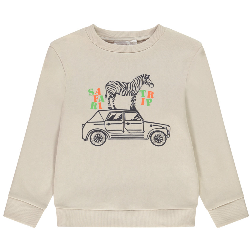 Sweater van molton met fantasieprint voor jongens 