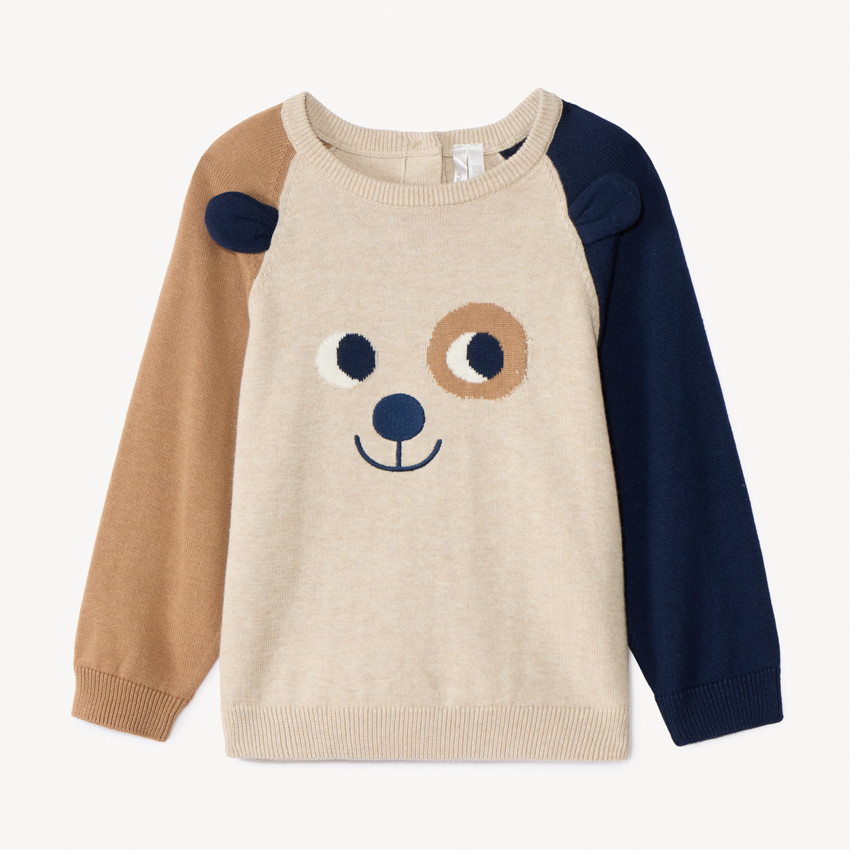 Gebreide speelse honden trui met colour block effect voor babyjongens 