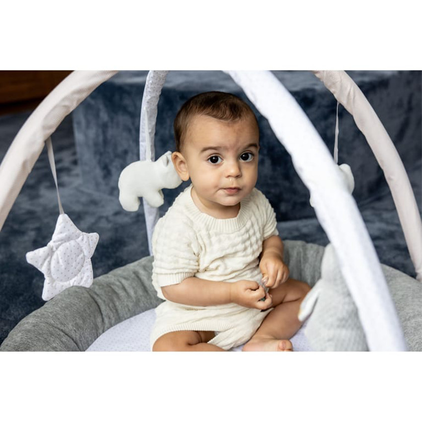 Tapis d'éveil et jeux Baby Gym Pingouin and Friends 0m+ 