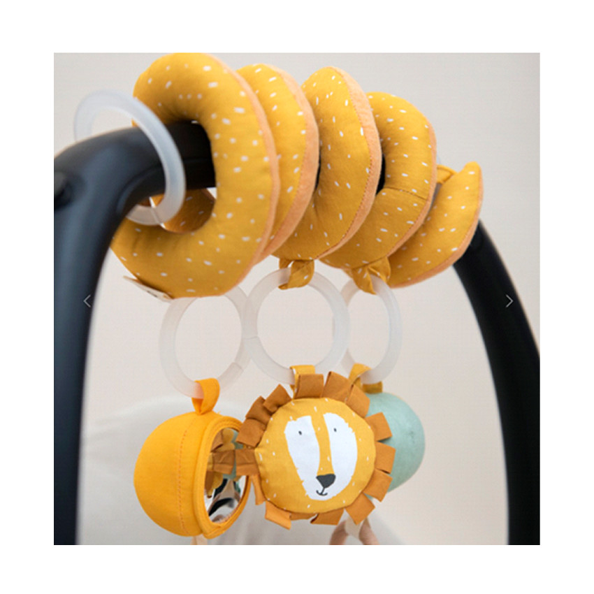 Spirale d'activités - Mr. Lion 