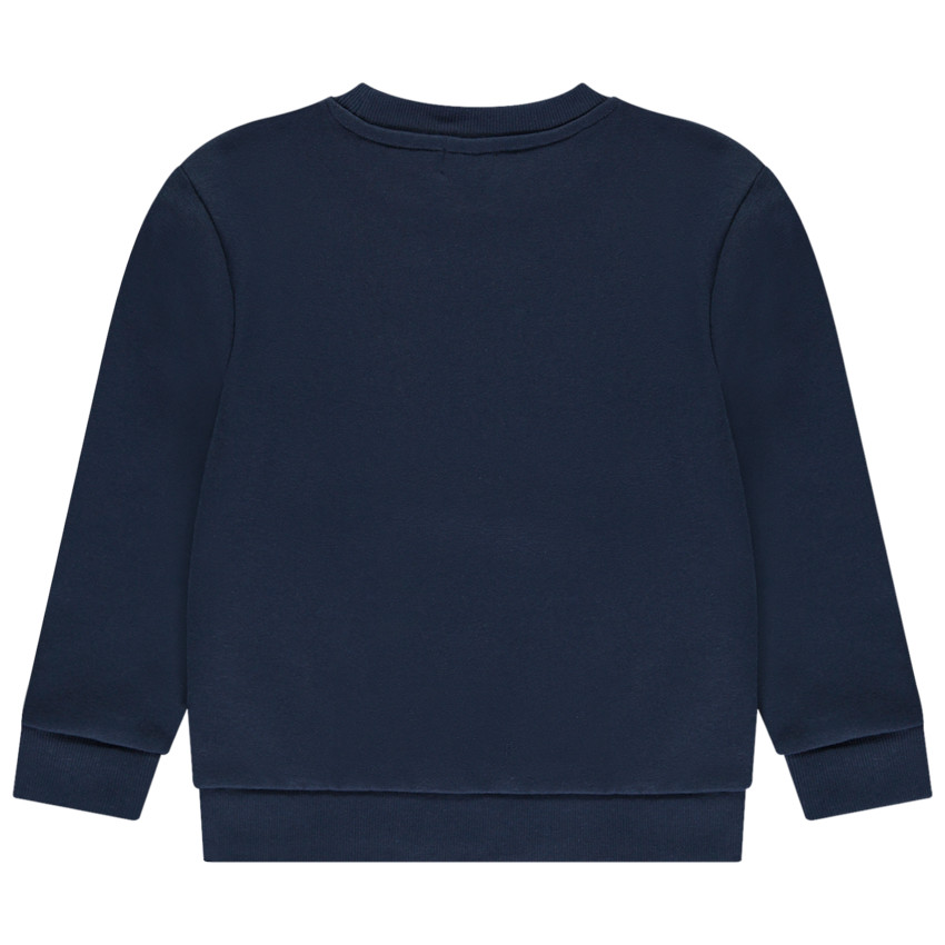 Sweatshirt van fleece met fantasieprint voor jongens 
