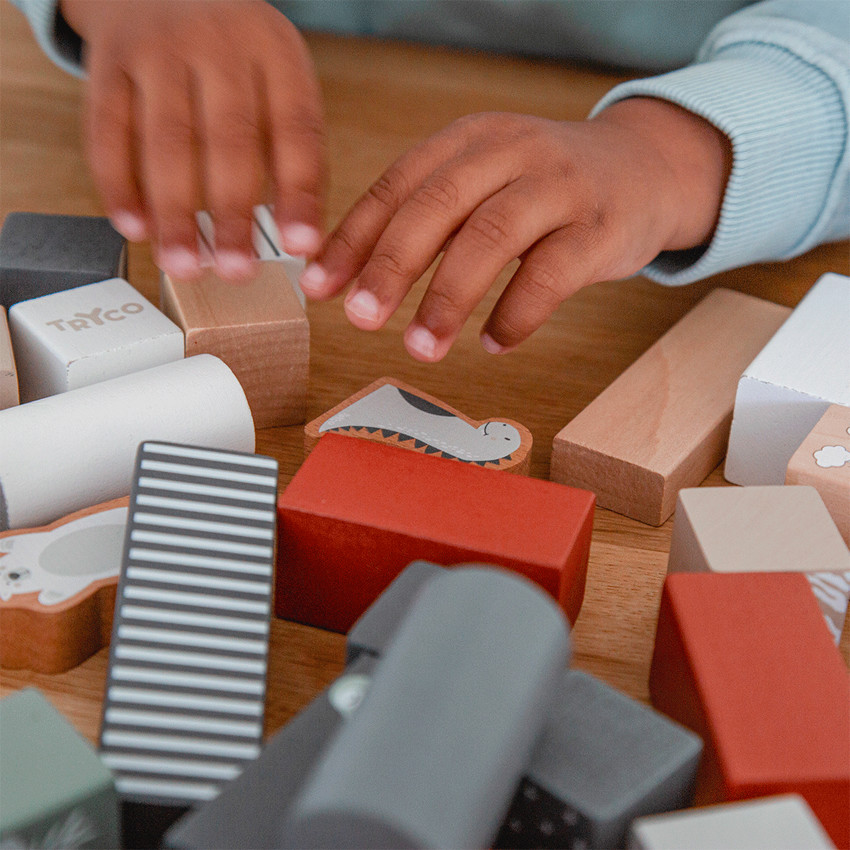 Jeu de construction en bois - 50 pièces 