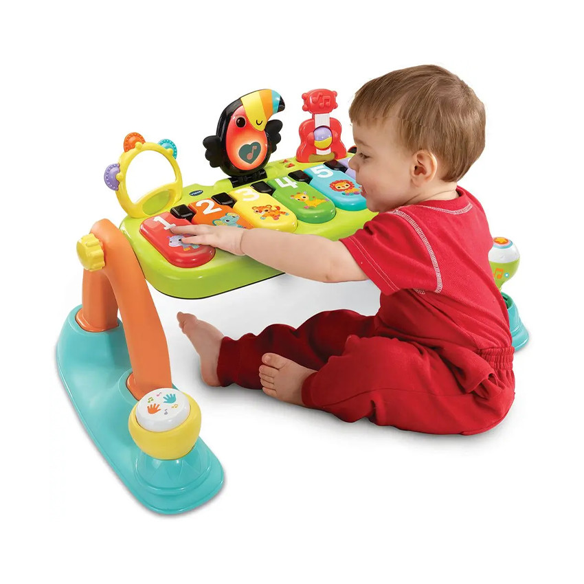 5-in-1 Muzikale Babygym FR 