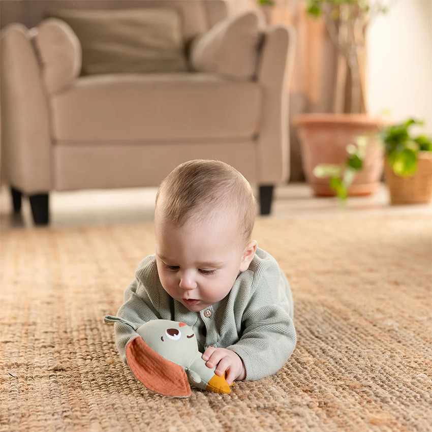 Doudou Lapin Malin 1e Âge Garden Of Adventures  