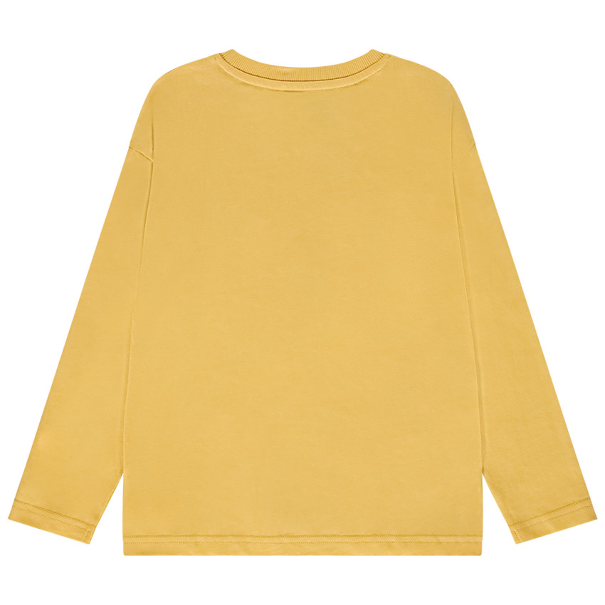 T-shirt met lange mouwen en dinosaurusprint voor jongens 