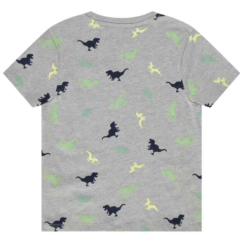 T-shirt met korte mouwen in jersey met dinosaurussen voor jongens 