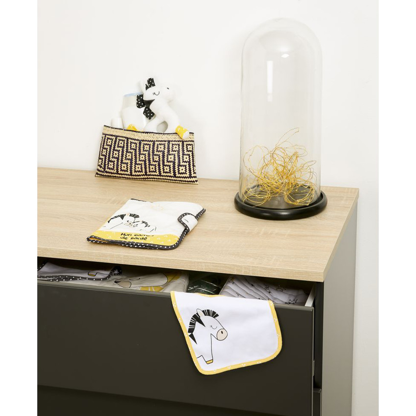 Protège carnet de santé - Pluche et Pompon 