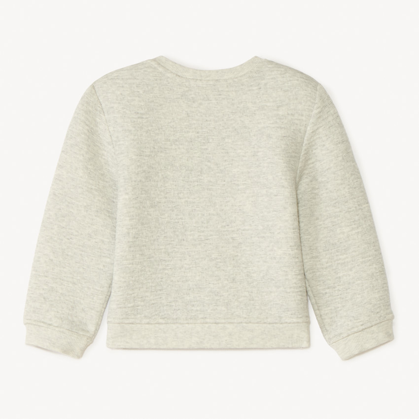 Sweatshirt met surfen borduursel voor babyjongen 