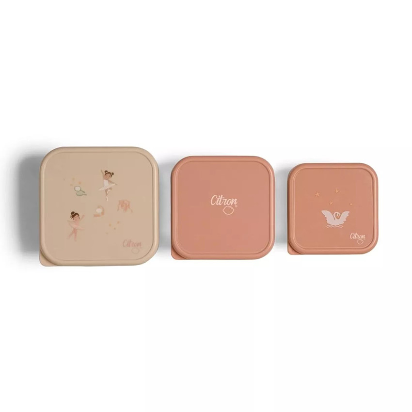 Set van 3 stapelbare roestvrije lunchbox Ballerina 
