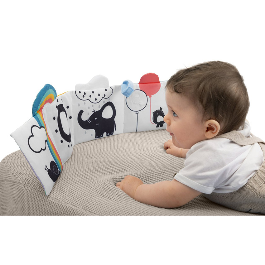 Livre sensoriel et activité  