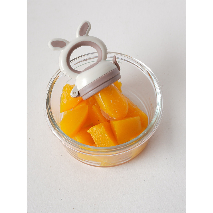 Sabbelspeen Fruit Feeder 4-in-1 Dune 