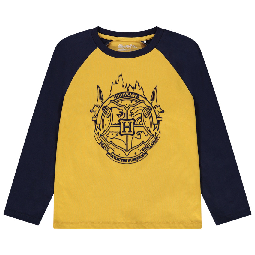 Lange mouwen raglan T-shirt in jersey met Harry Potter print Warner 