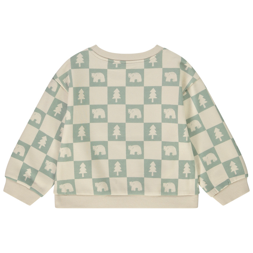 Oversize sweatshirt in fleece met ruitjesprint voor babyjongen 