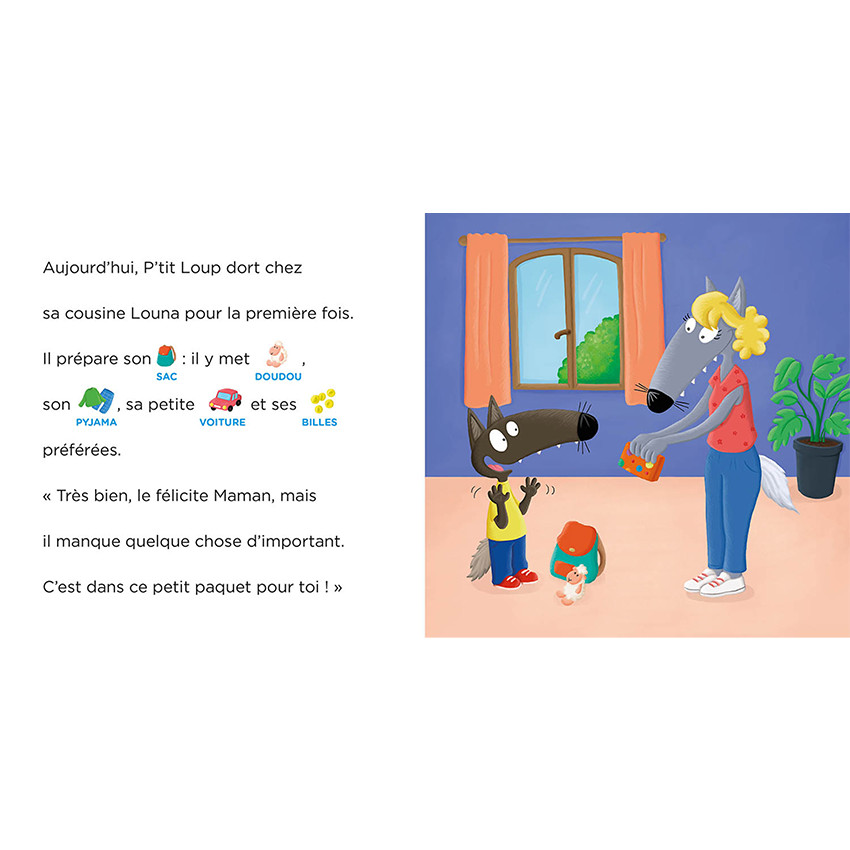 Boek FR P'tit Loup ne dors pas à la maison 3jaar+ 