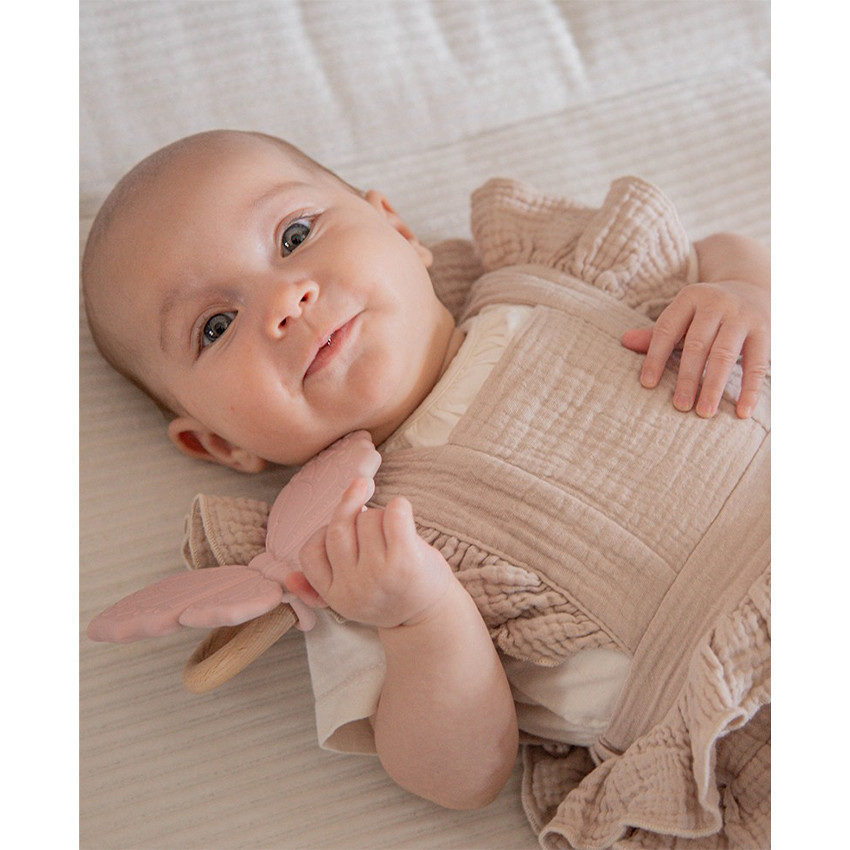 Anneau de dentition silicone Papillon Rose 