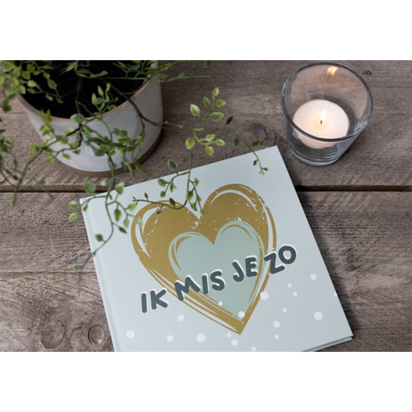 Livre "Tu me manques tellement" Texte Néerlandais" Vert Tendre 