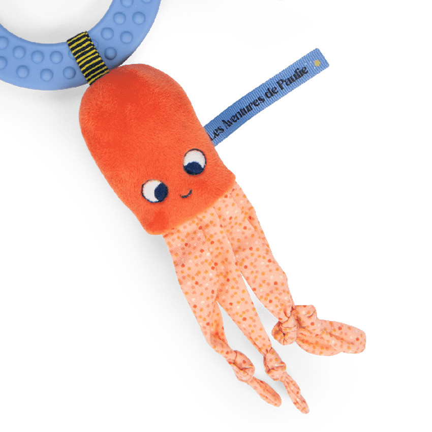 Activiteitenring De avonturen van Paulie  