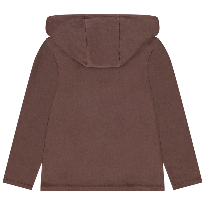 T-shirt met lange mouwen en kap, met opgedrukte leeuw, voor jongens 