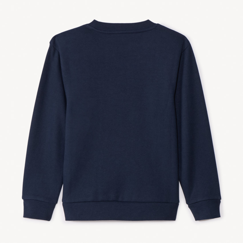 Sweat en molleton gratté uni pour garçon 