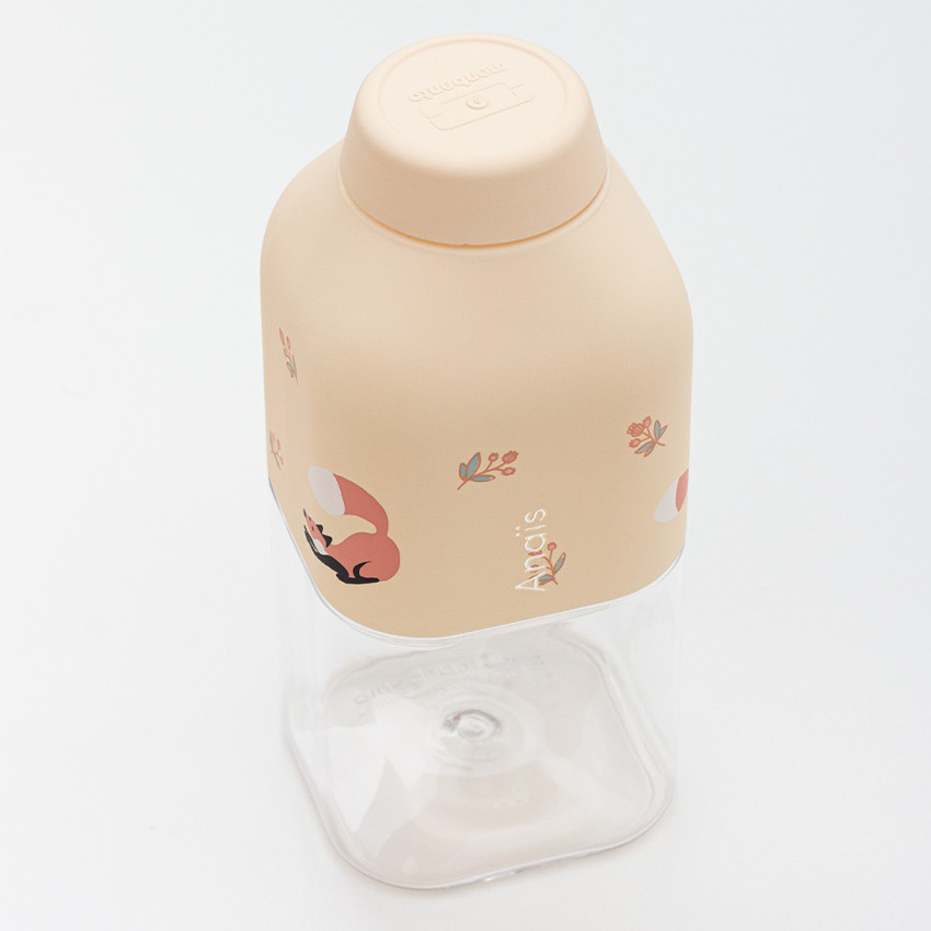 Gourde nomade MB Positives S Fox 33 cl 