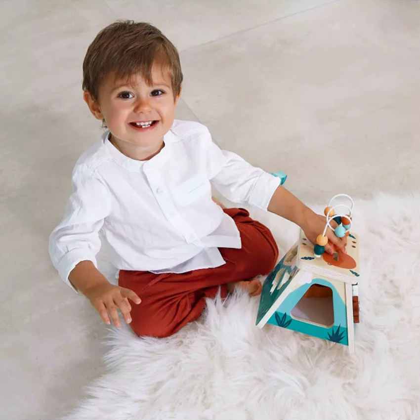 Multi-activiteit vulkaan Dino 