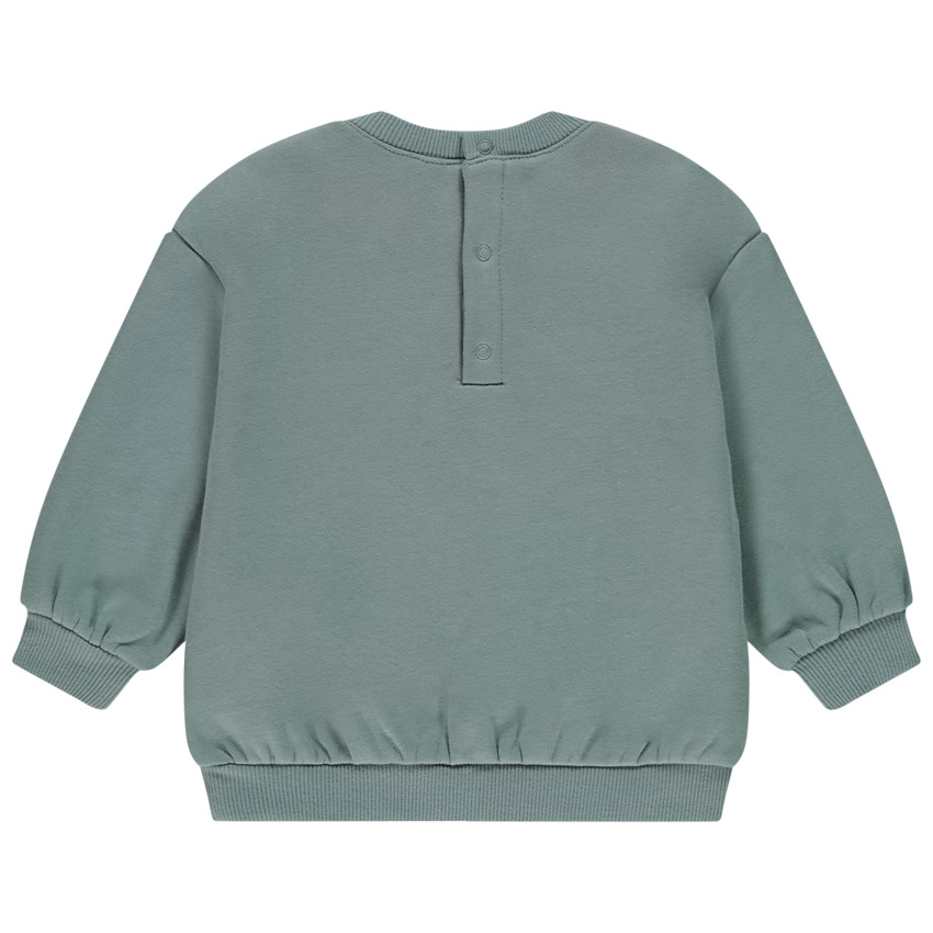 Oversized sweatshirt met dierenmotief voor babyjongen 