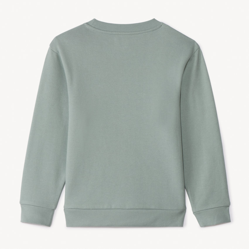 Sweatshirt van effen fleece voor jongens 