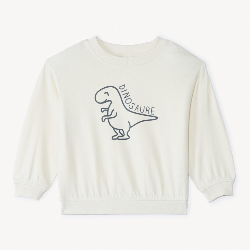 Oversized sweat met dino-print voor babyjongen 