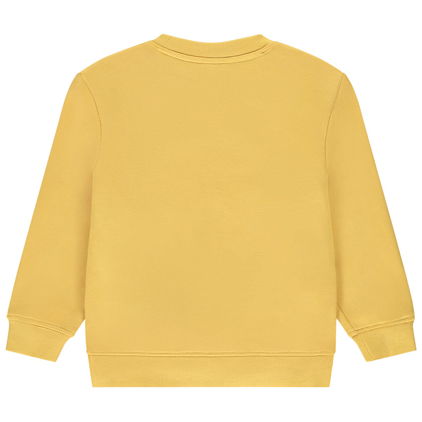 Sweatshirt met Simba print van Disney en bouclette borduursel voor jongens 