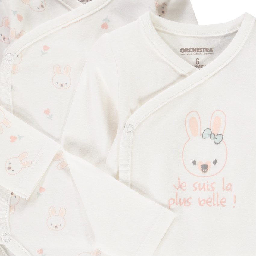 Lot de 2 bodies manches longues imprimé lapin 