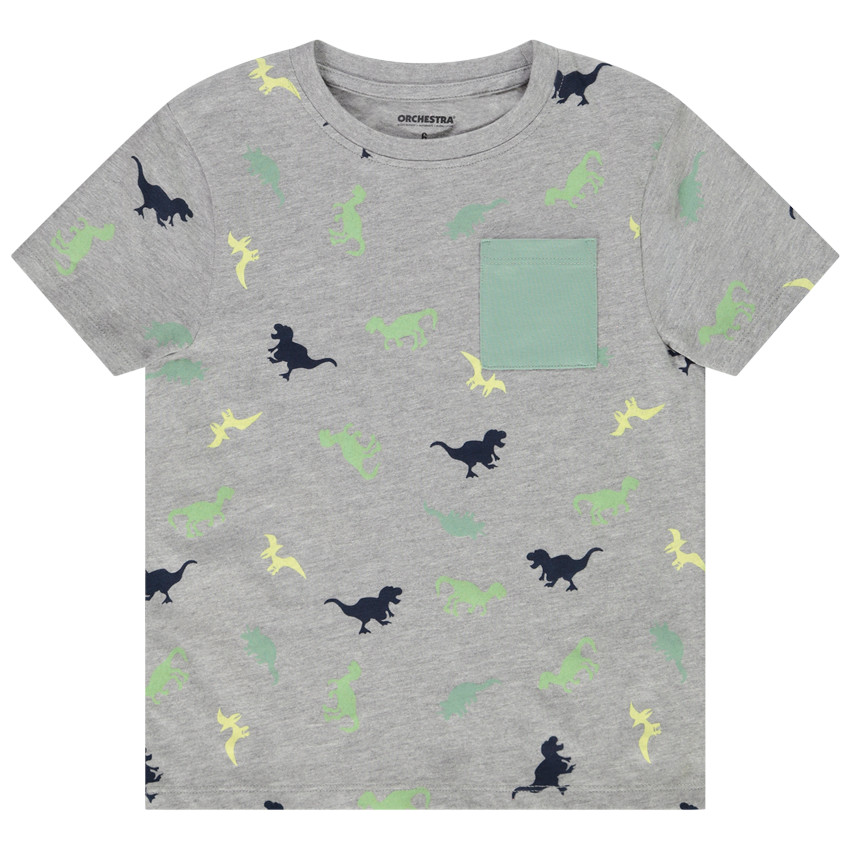 T-shirt met korte mouwen in jersey met dinosaurussen voor jongens 