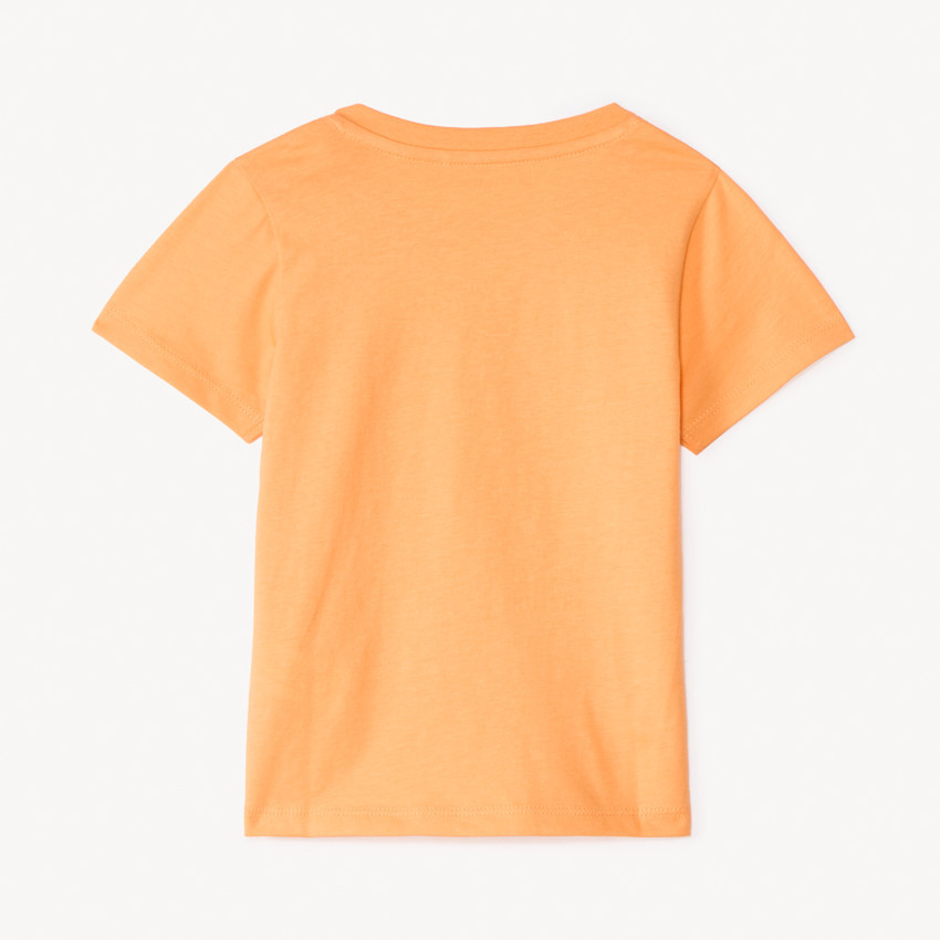 T-shirt manches courtes print Lion pour bébé garçon 