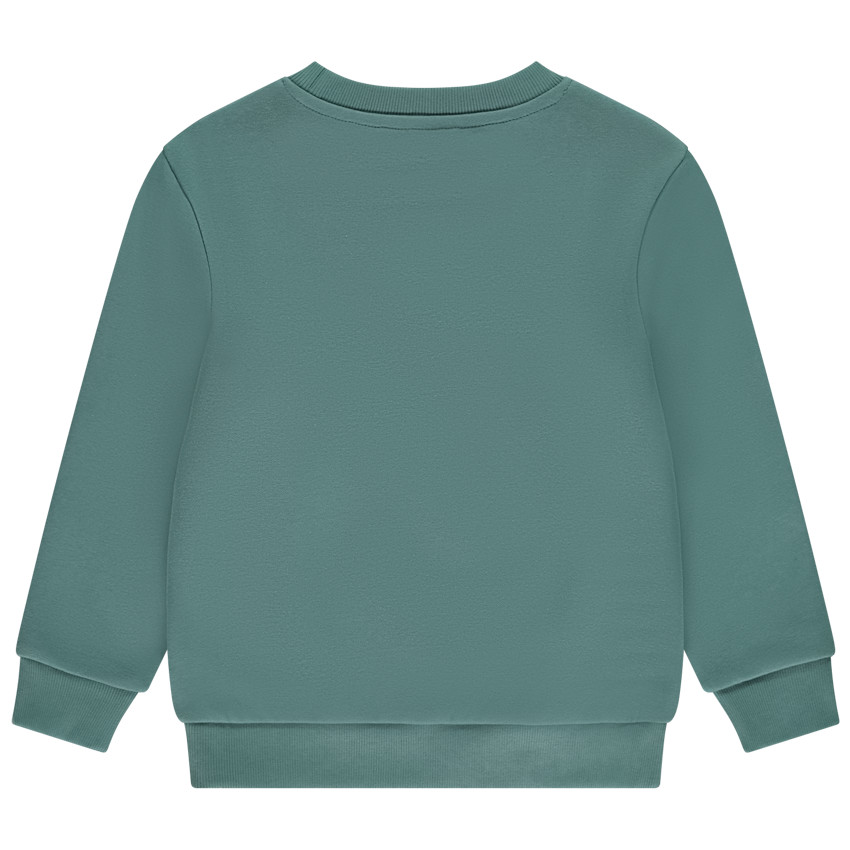 Sweatshirt van effen fleece voor jongens 