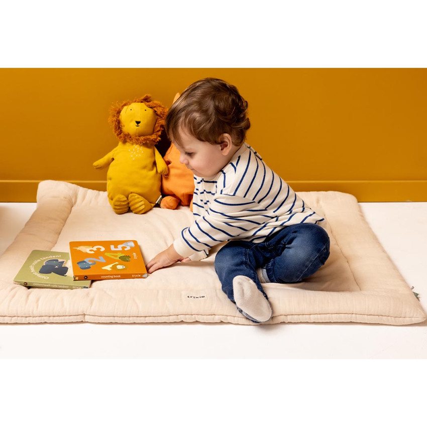 Livre de conte - Olifant heeft vuile tanden - Uniquement en Néerlandais 