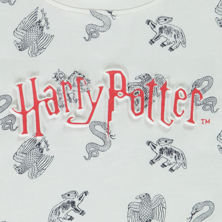T-shirt manches courtes en jersey imprimé Harry Potter pour garçon 