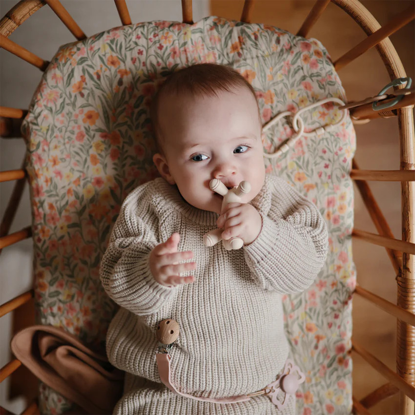 Anneau de dentition silicone  Agneau 3M+ 