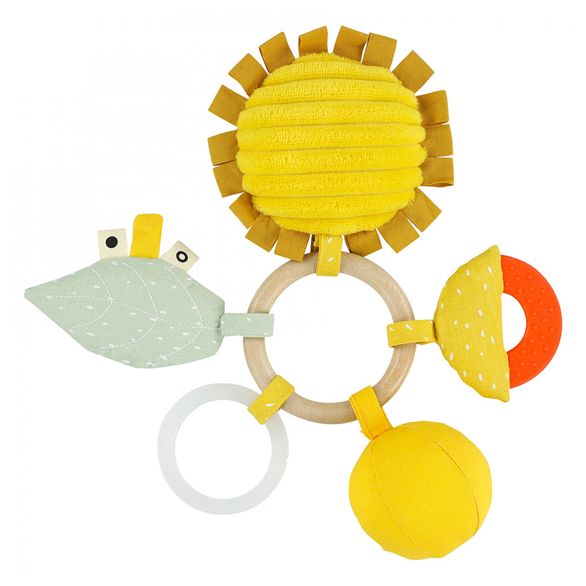 Anneau d'activités - Mr. Lion 