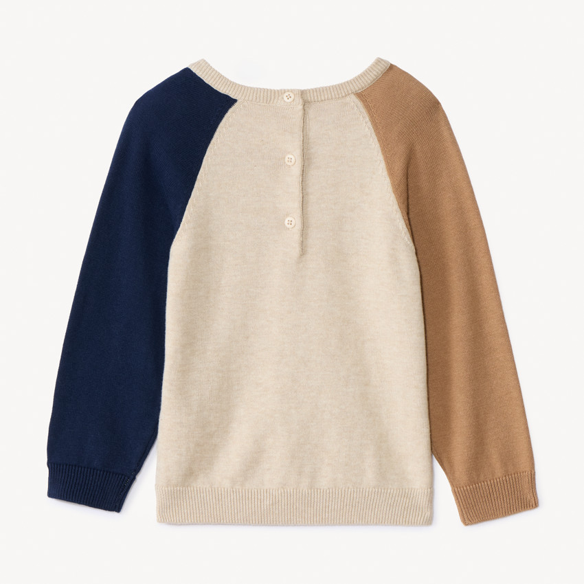 Gebreide speelse honden trui met colour block effect voor babyjongens 
