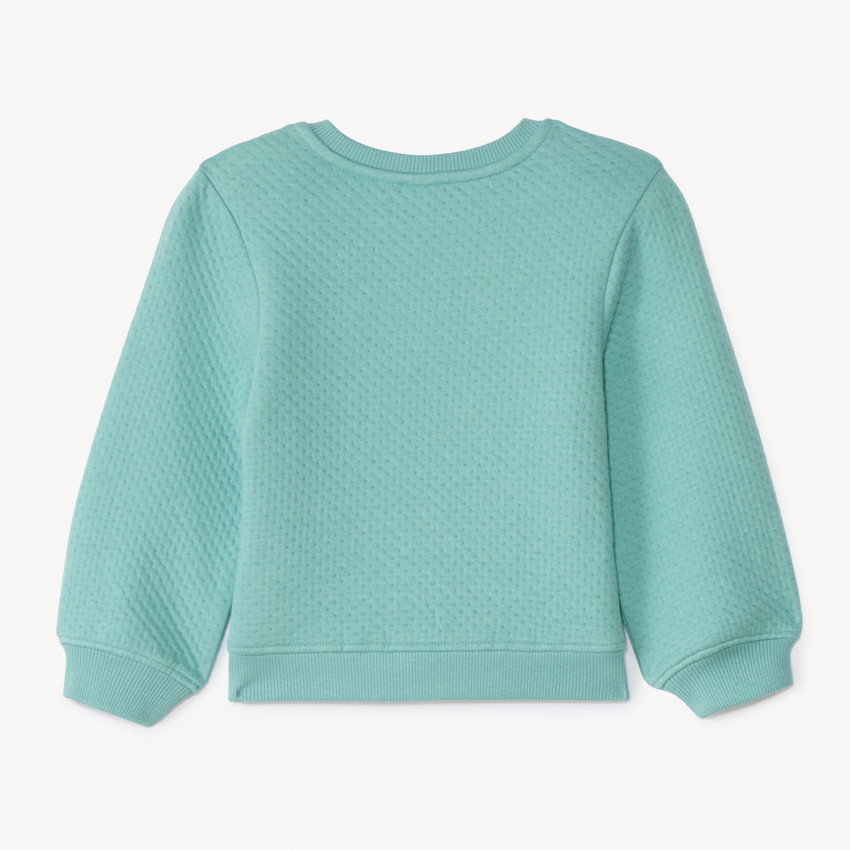 Sweatshirt van gewatteerde fleece met skatemotief voor babyjongen 