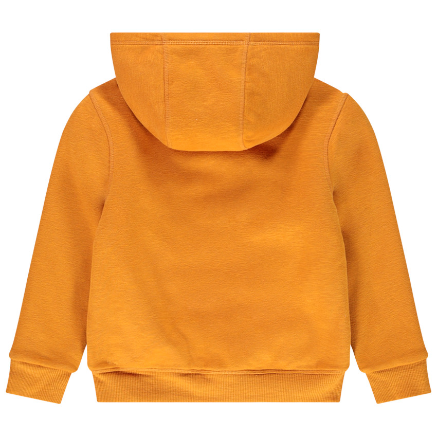 Vest van molton met kap en sherpavoering voor jongens 