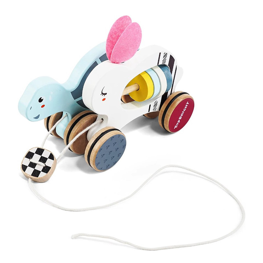 De haas en shildpad trekdier 12m+ 